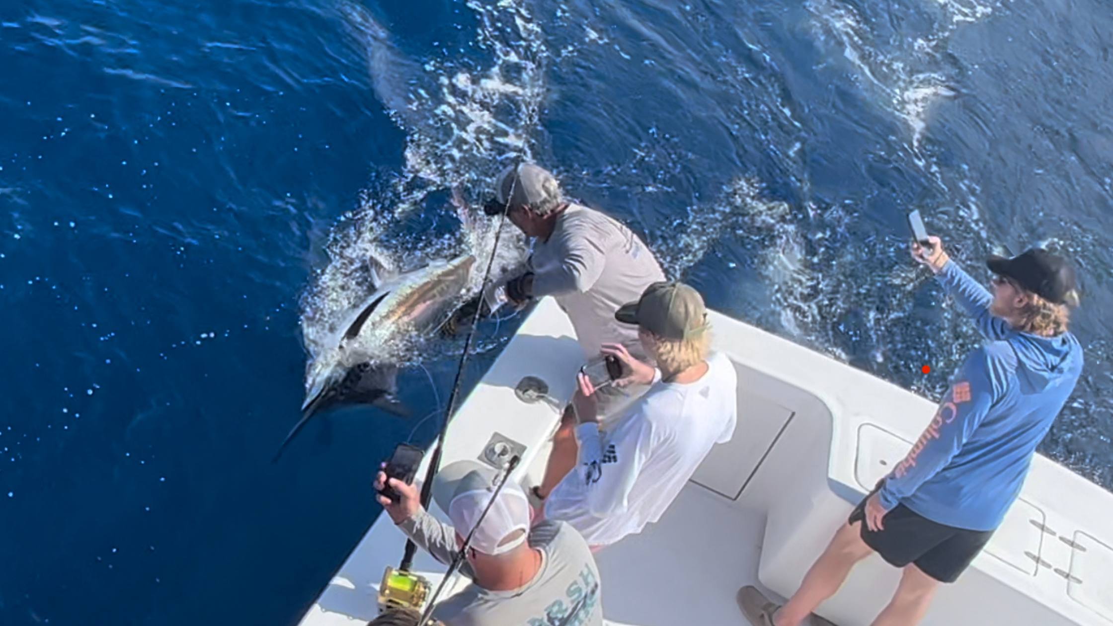 Beagle Sportfishing