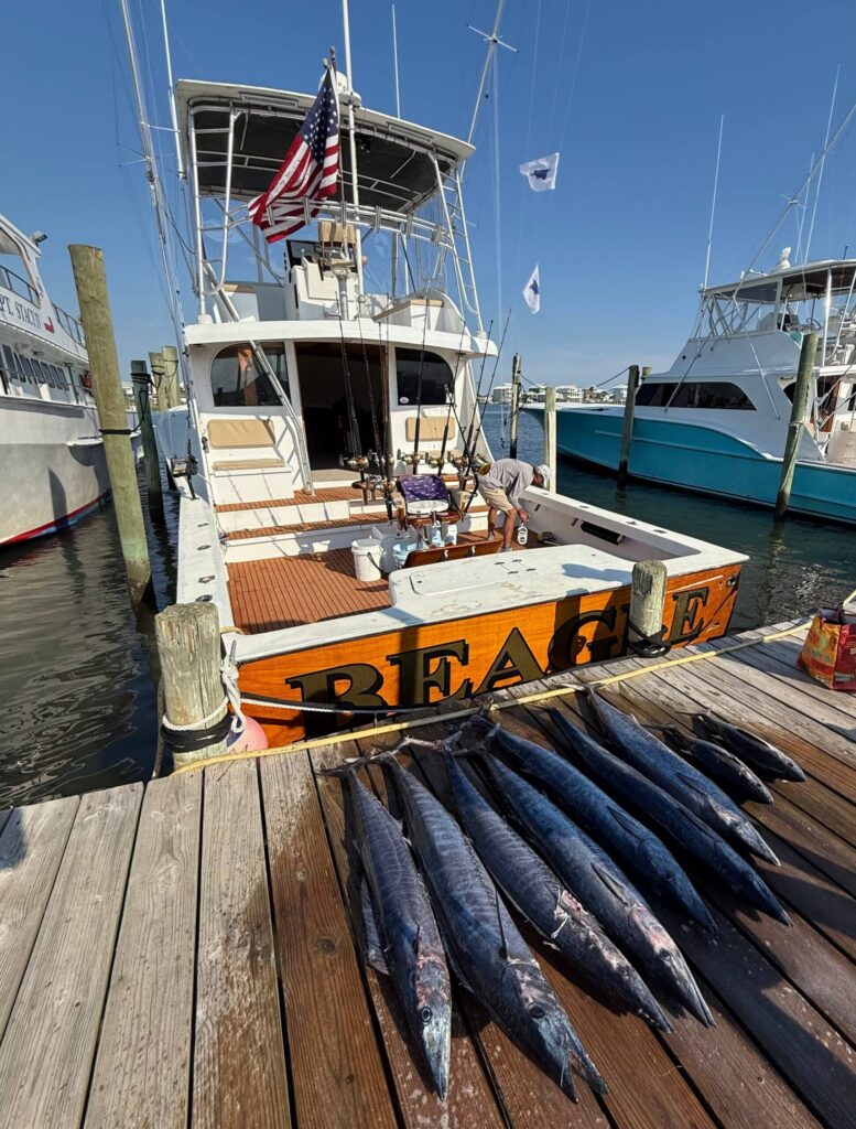 Beagle Sportfishing